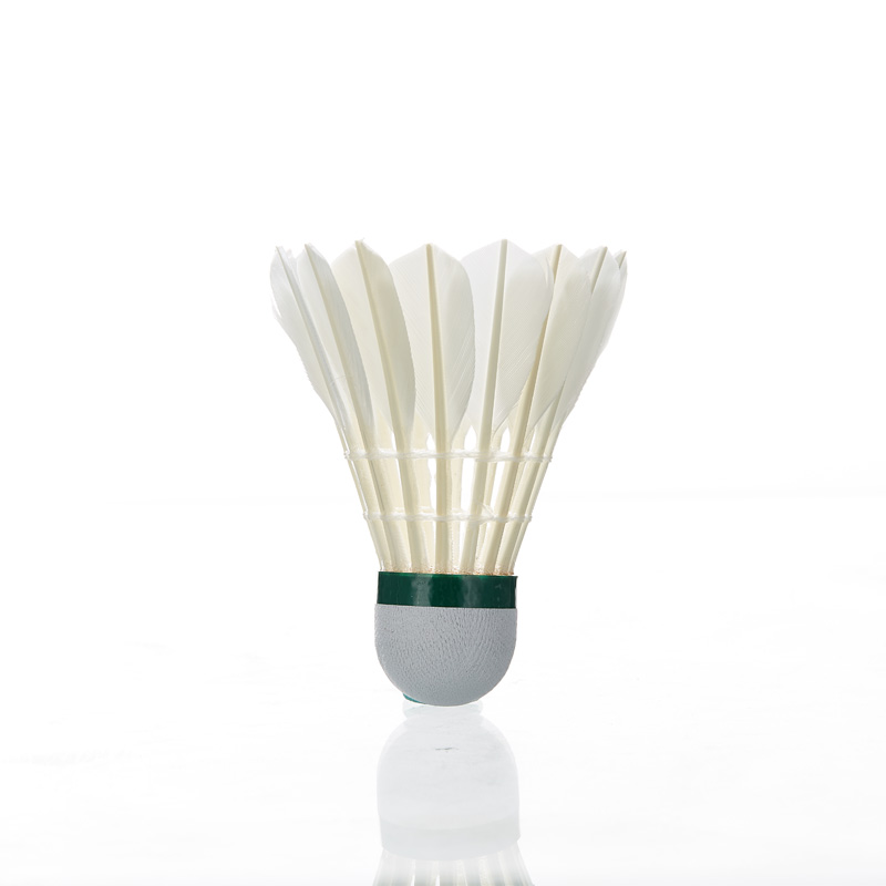 Kawasaki Feather Shuttlecock 8 - Badminton Raket 评论和价格